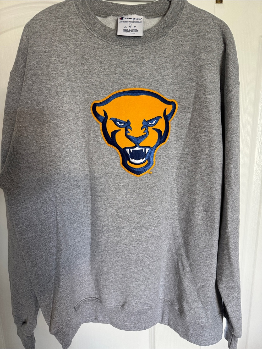 Champion Gray Crewneck Sweatshirt with pittsburgh Panthers Patch